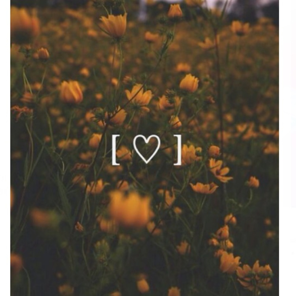 trade bundle for @jbirb41111